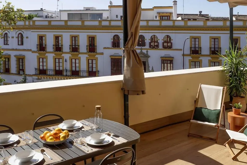 Pyl Apto Centro Junto Catedral Terraza Privada Seville Apartment